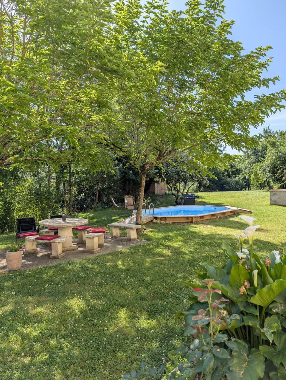 Garden view, Swimming pool