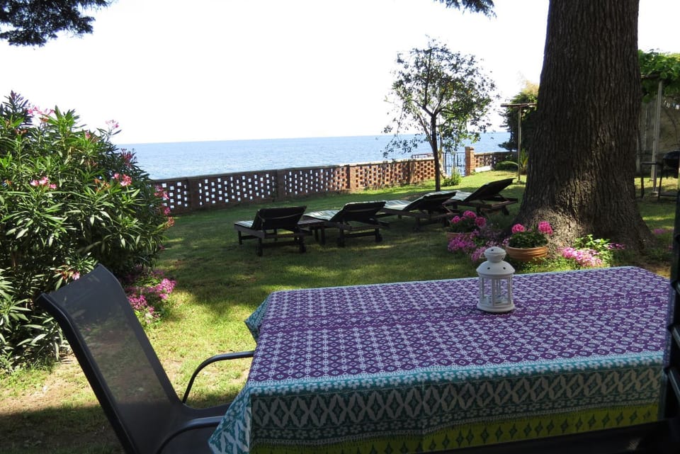 Garden, Balcony/Terrace, Garden view