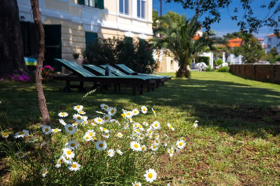 Garden, Garden view