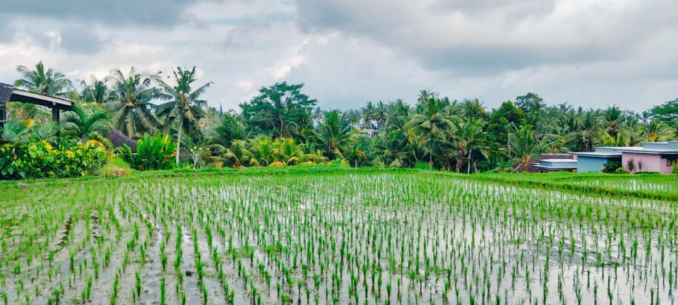 Srijaya Ubud by Best Living Bed and Breakfast in Tampaksiring