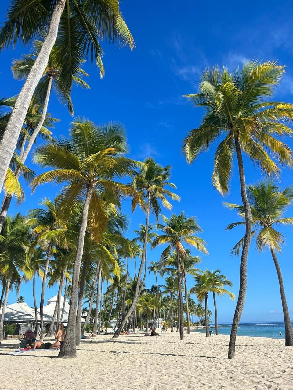 Nearby landmark, Day, Natural landscape, Beach