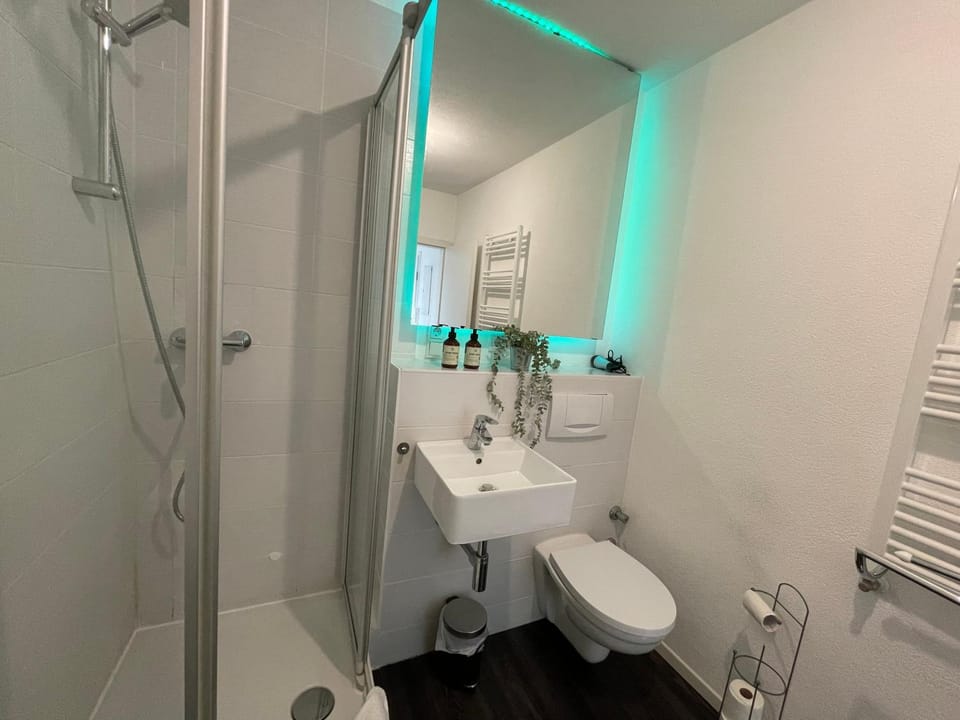 Shower, Toilet, Bathroom, towels