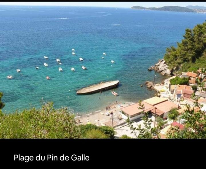Appartement à 5 min des plages, parking gratuit Apartment in French Riviera