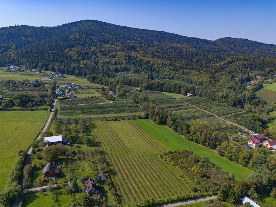 Day, Natural landscape, Bird's eye view, Mountain view
