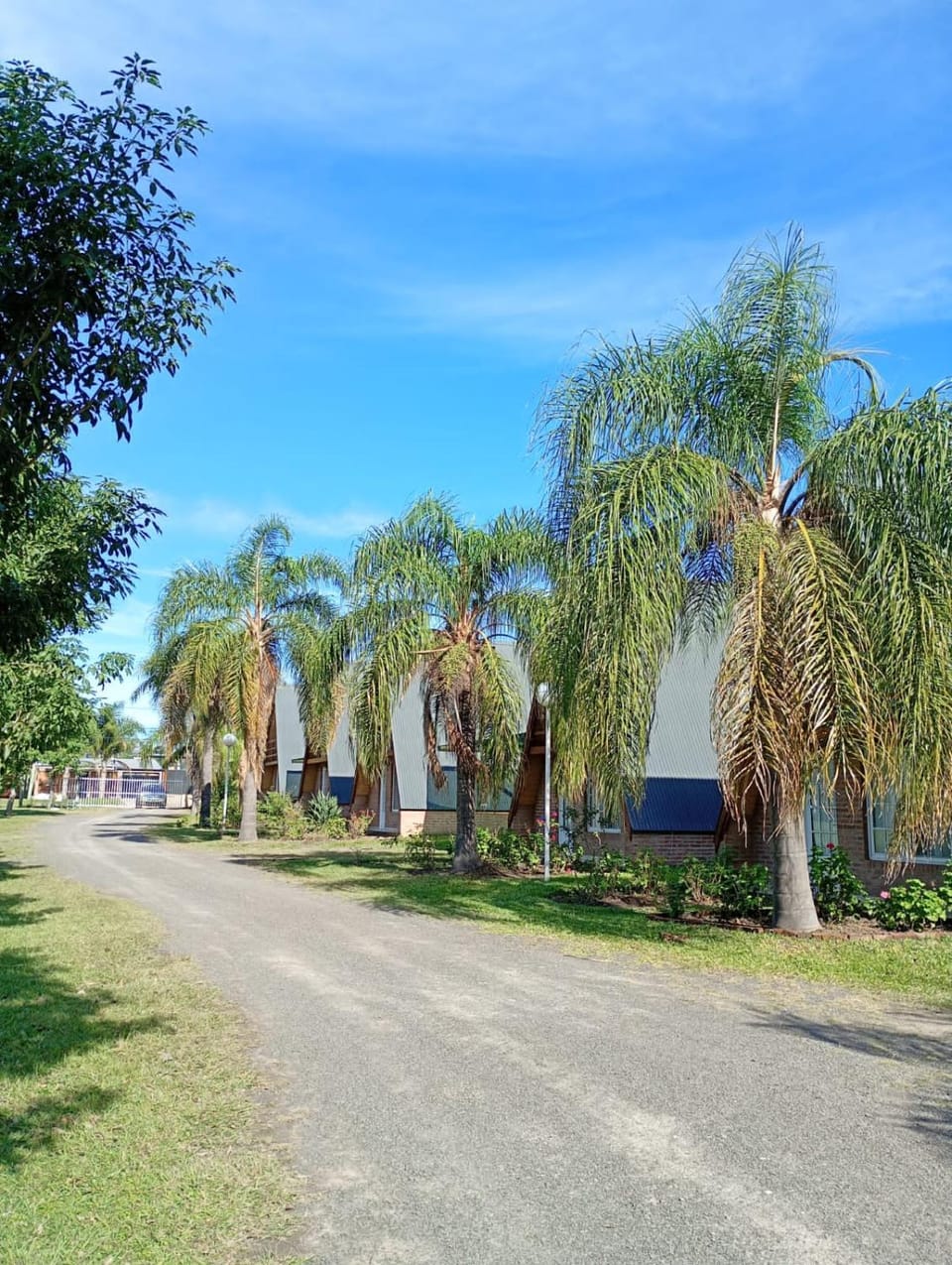 Cabañas LAS PALMERAS Apartment in Entre Ríos Province, Argentina