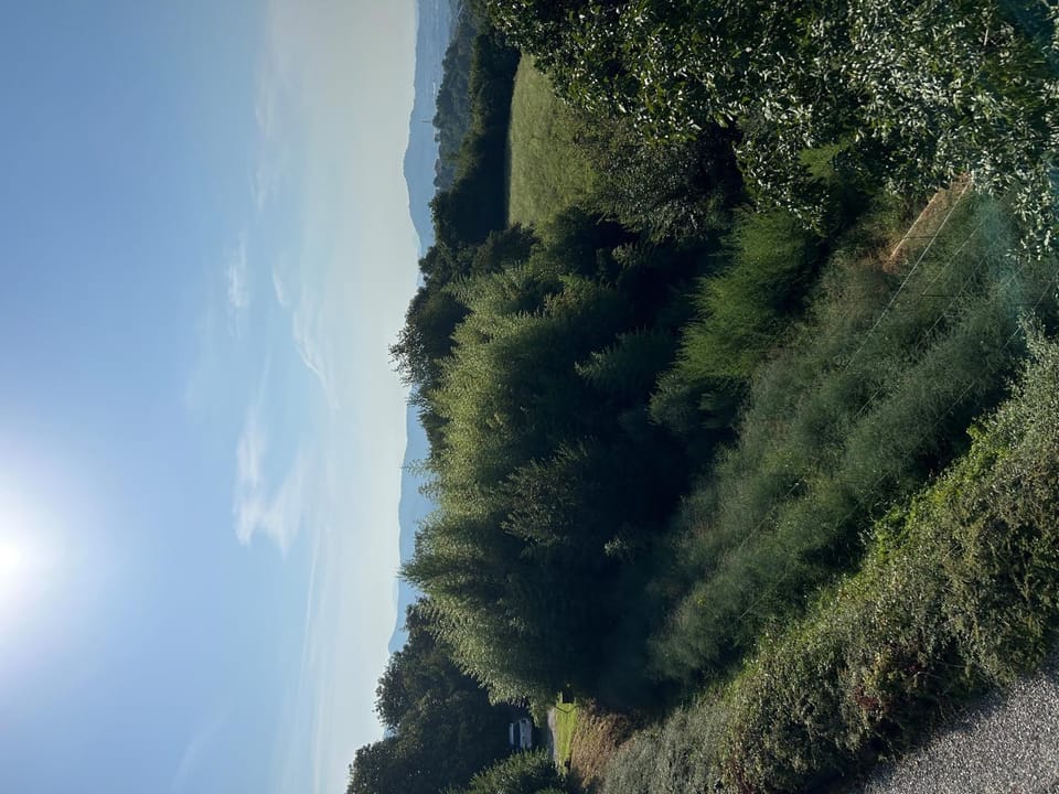 b&b alrobale Bed and Breakfast in Lombardy