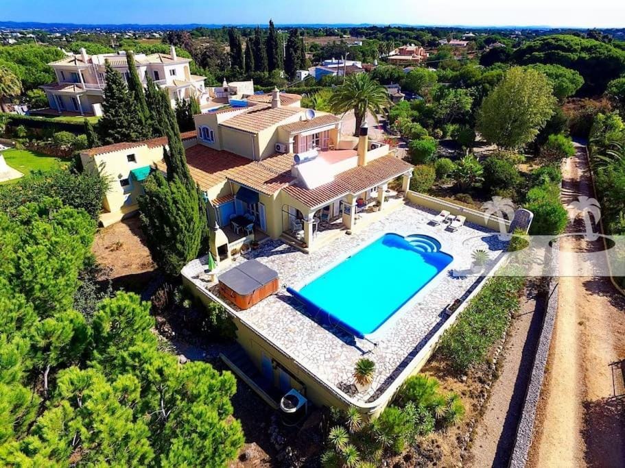 Bird's eye view, Garden, Pool view