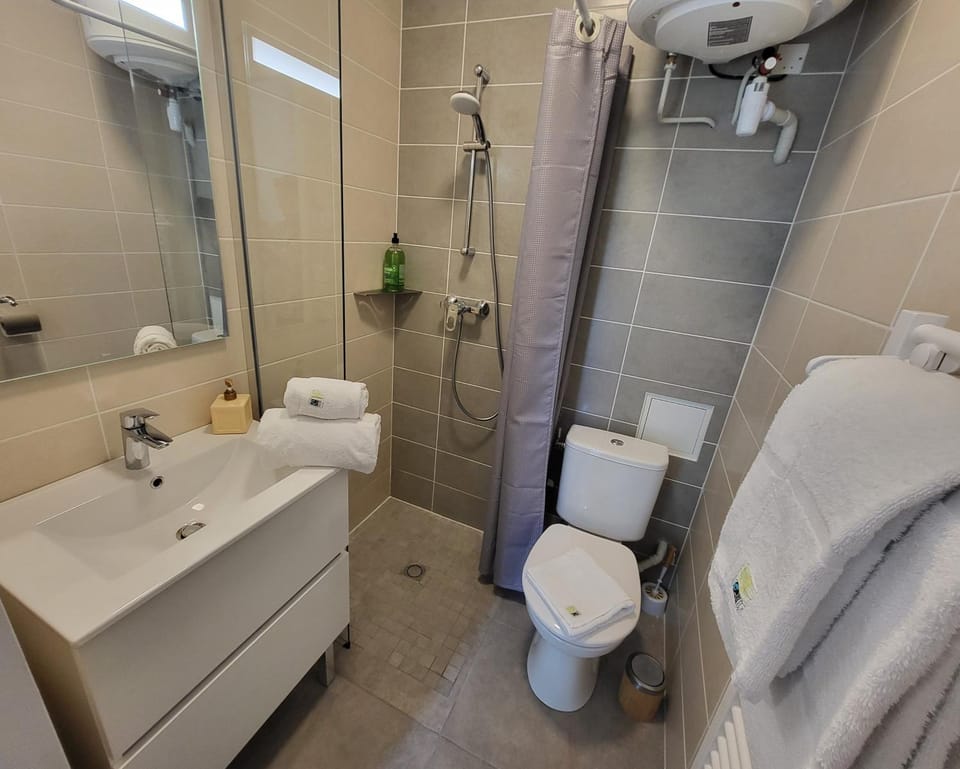 Shower, Toilet, Bathroom, towels