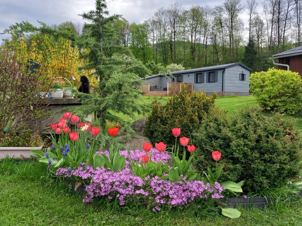 Property building, Spring, Garden, Garden view