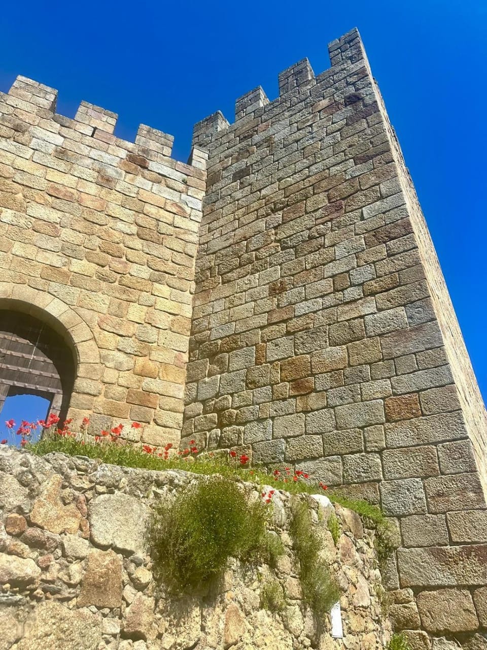 Landmark view