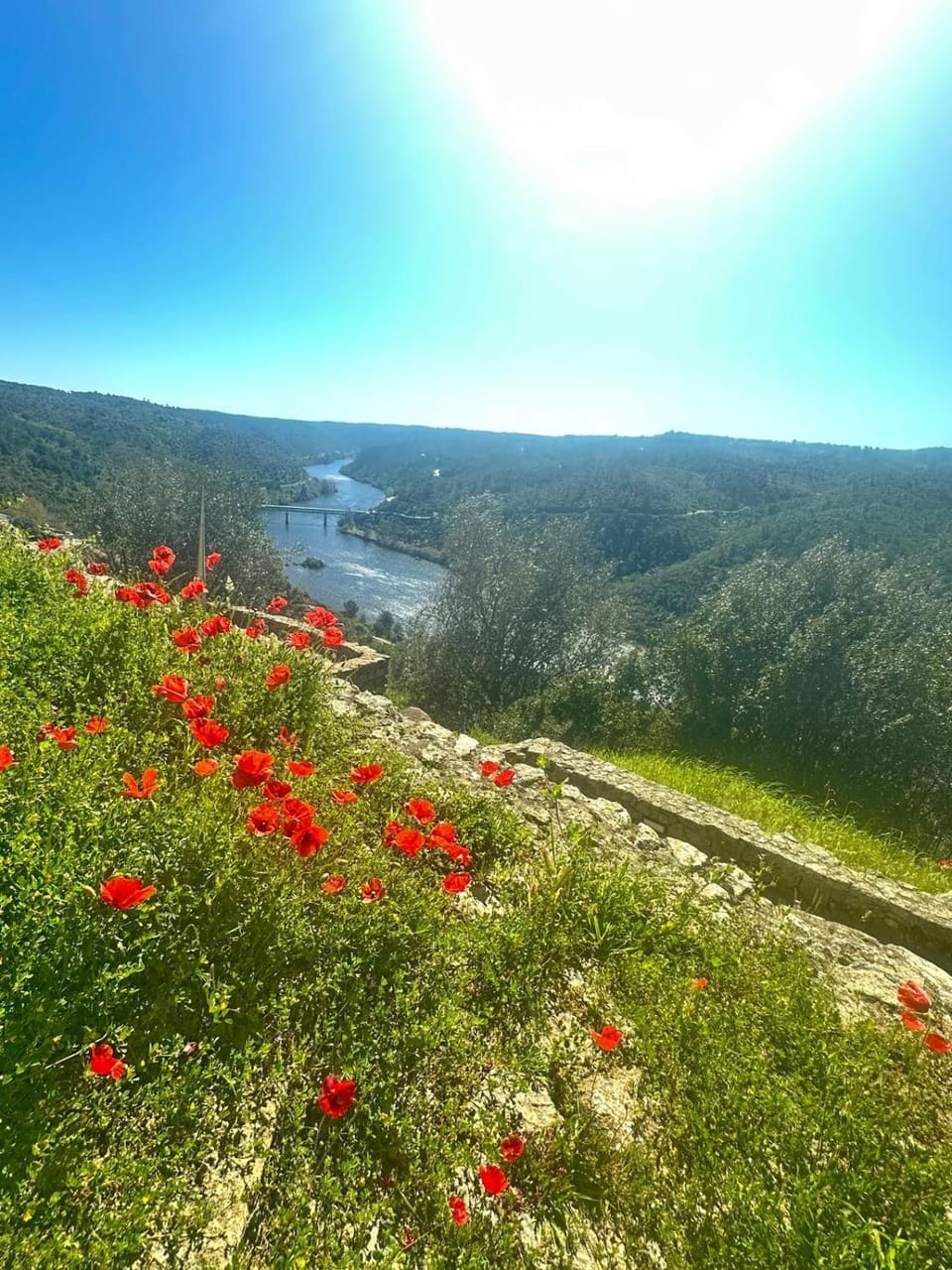 Nearby landmark, Spring, Natural landscape