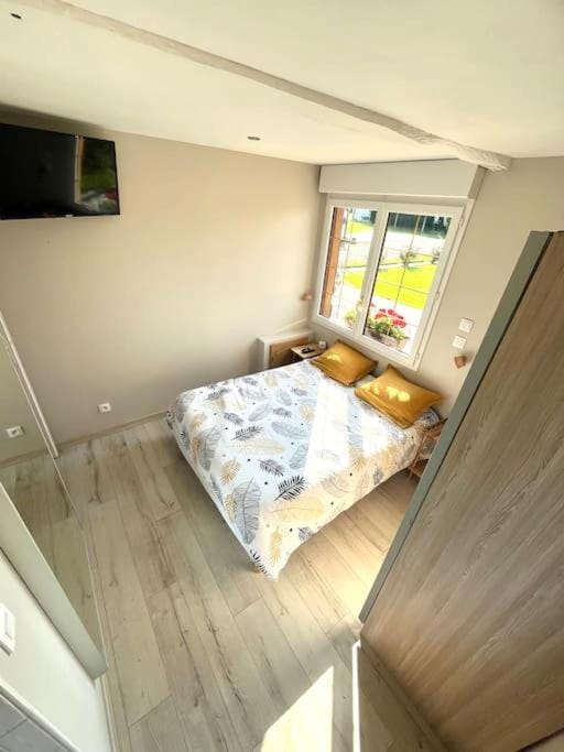 Bed, TV and multimedia, Photo of the whole room, Bedroom