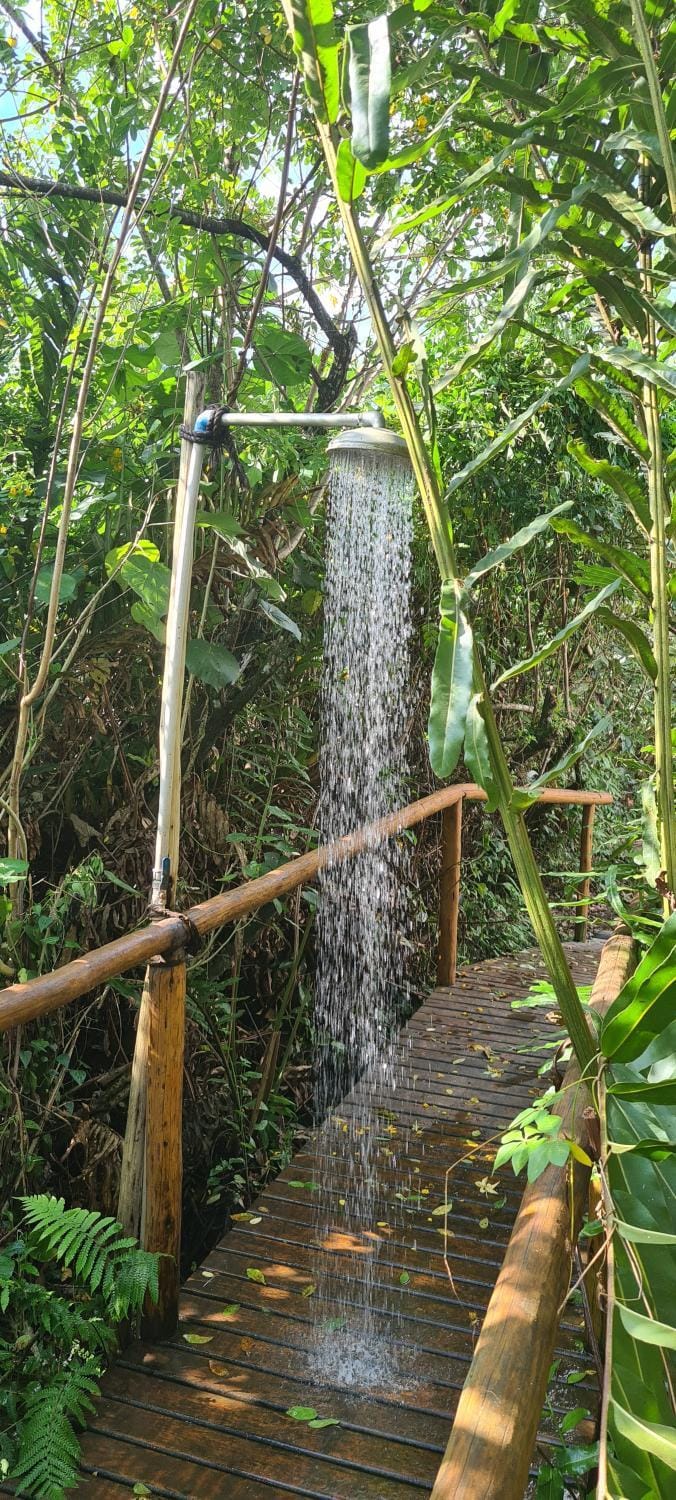 Chalé Temático Mata Atlântica Nature lodge in Paraty