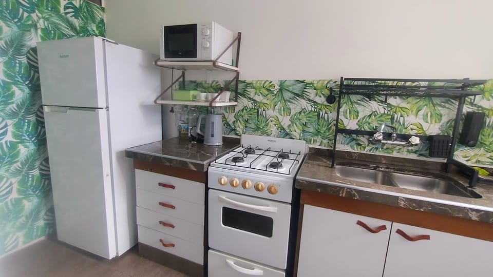 Refugio Apart Apartment in Mendoza