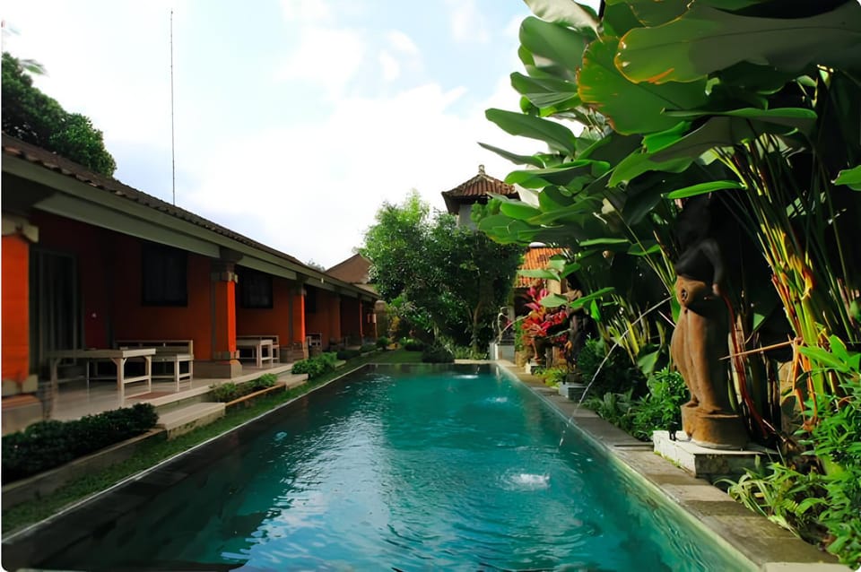 Property building, Day, Garden, Garden view, Pool view, Swimming pool