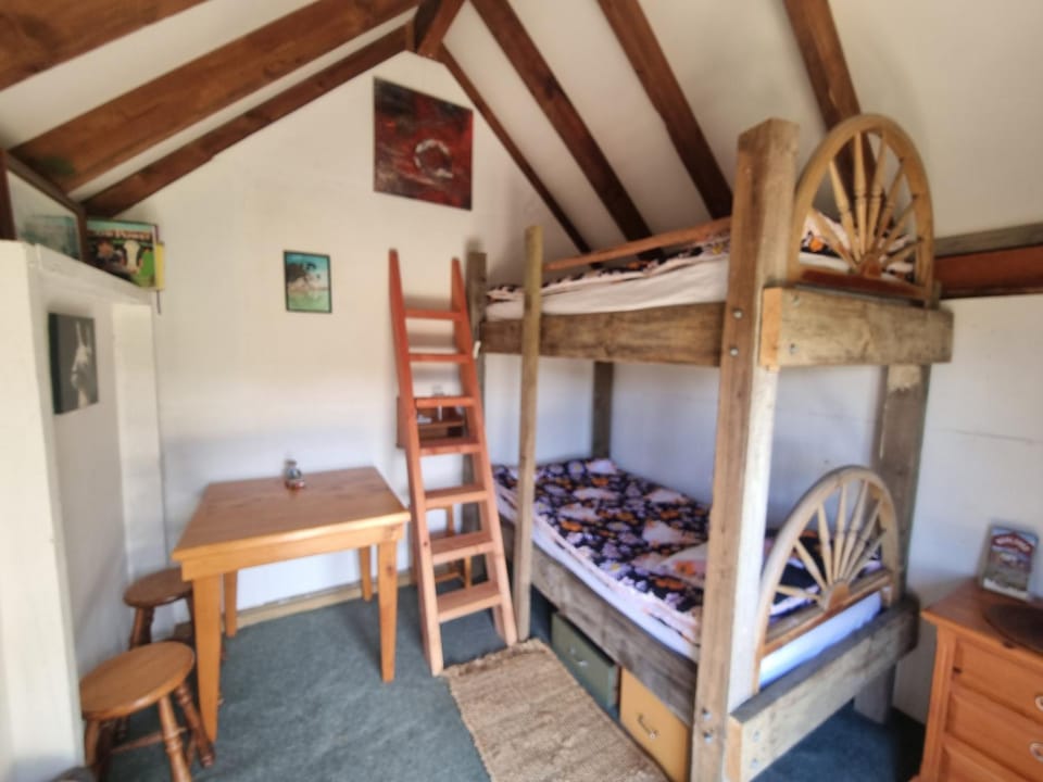 Bed, Photo of the whole room, Bedroom, bunk bed