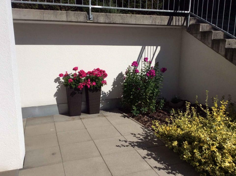 Summer, Balcony/Terrace