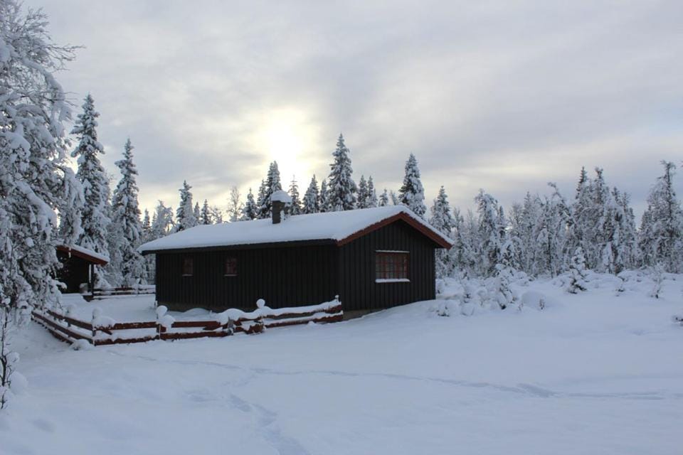 Winter