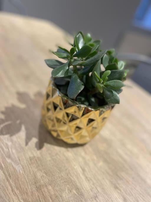 Appartement plein centre, garage recharge voiture Apartment in Langres