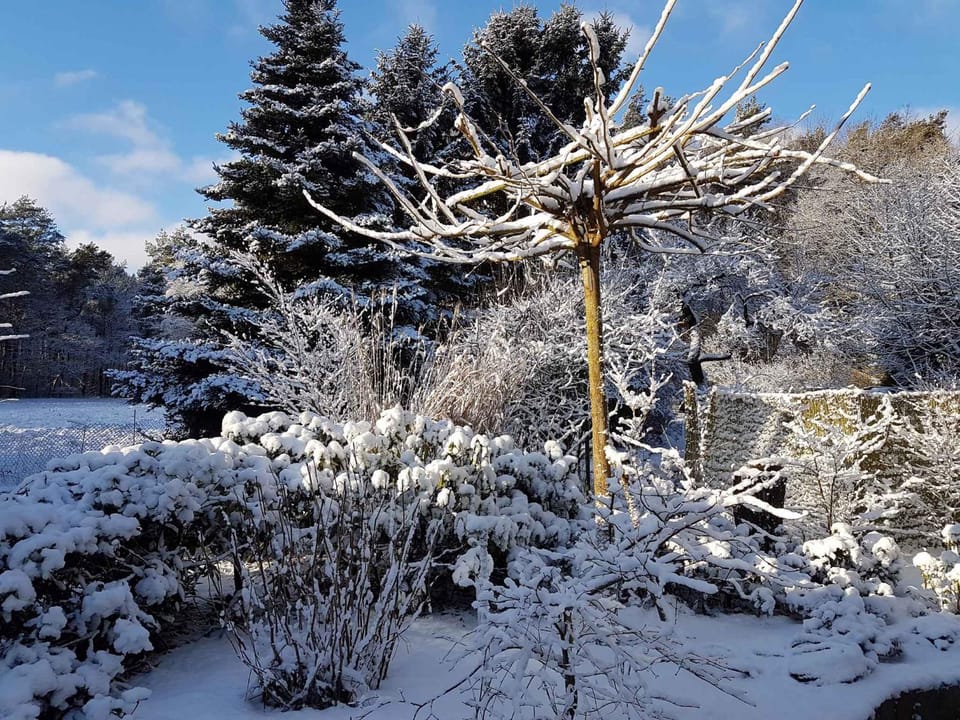 Property building, Winter