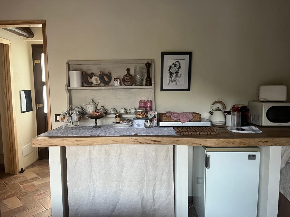 Coffee/tea facilities, stove, toaster