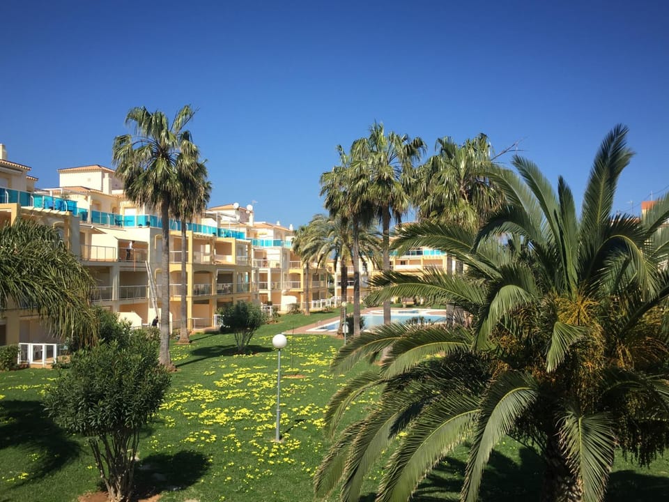 Property building, Garden, Garden view, Swimming pool