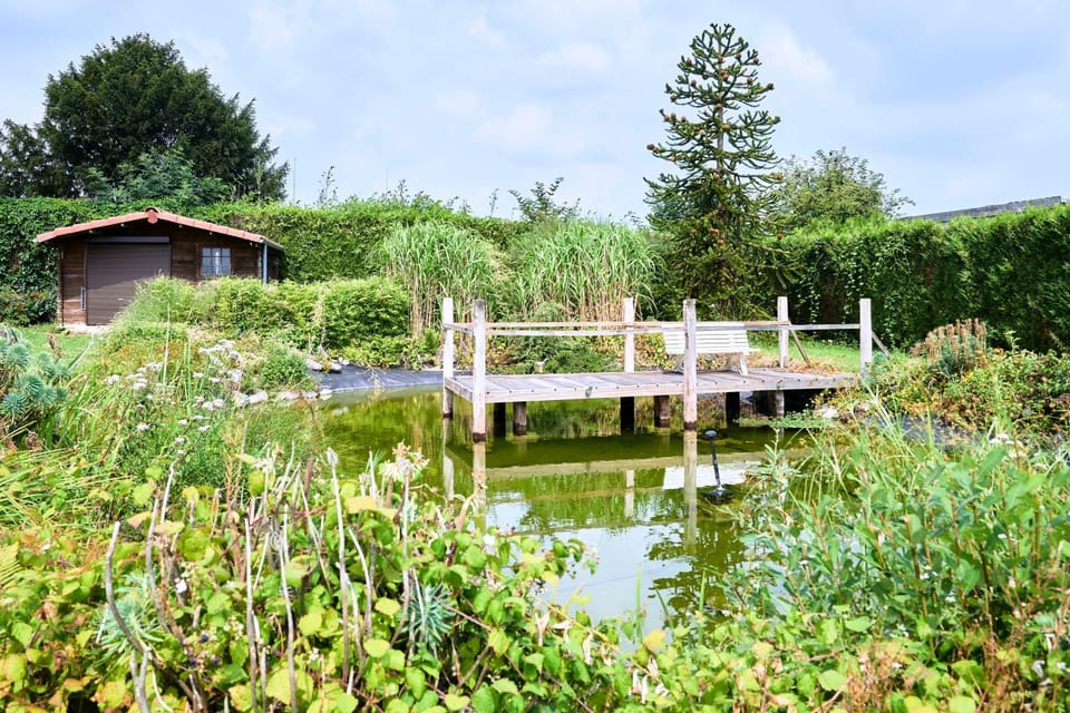 Day, Natural landscape, Garden view