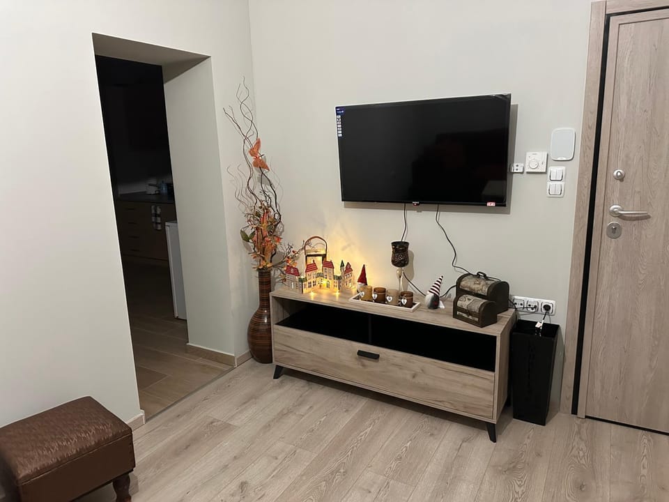 TV and multimedia