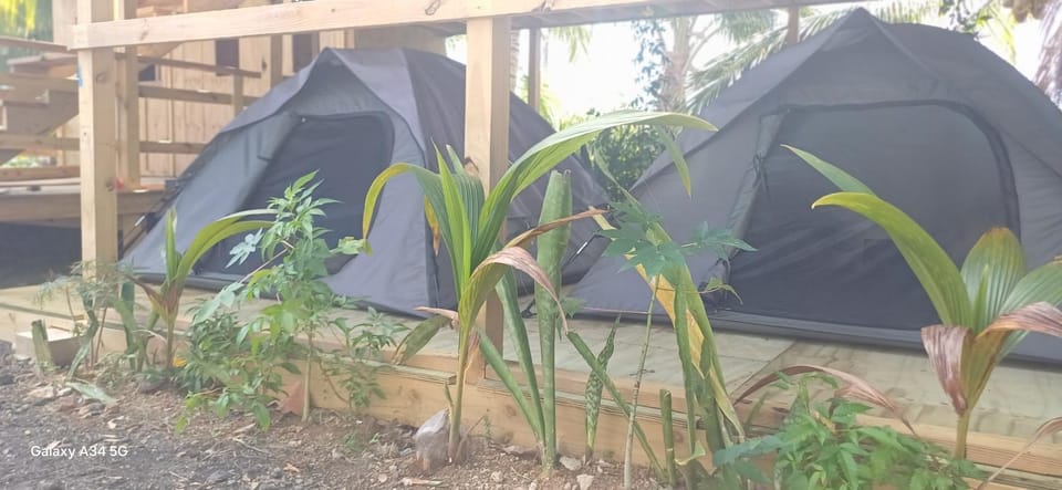 Rooster Run Camping is a - rooftop & elevated camping experience! Incredible views of The Rain Forrest and Culebra across the Atlantic Ocean - Tents, towels, comfortable Air Beds, Warm Shower-Central Location- 5 beaches -25 min walk & Ferry is 20 min Luxury tent in Puerto Diablo