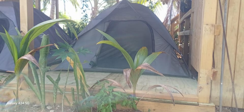 Rooster Run Camping is a - rooftop & elevated camping experience! Incredible views of The Rain Forrest and Culebra across the Atlantic Ocean - Tents, towels, comfortable Air Beds, Warm Shower-Central Location- 5 beaches -25 min walk & Ferry is 20 min Luxury tent in Puerto Diablo