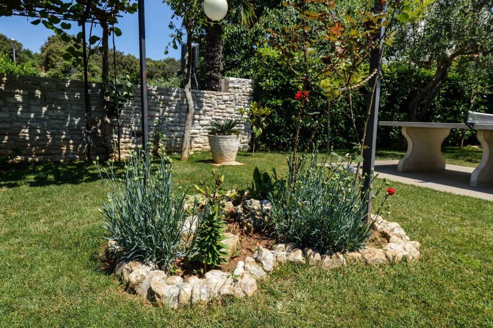 Summer, Garden