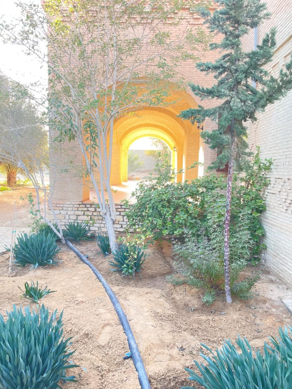 Rose de Sable Villa in Tunisia