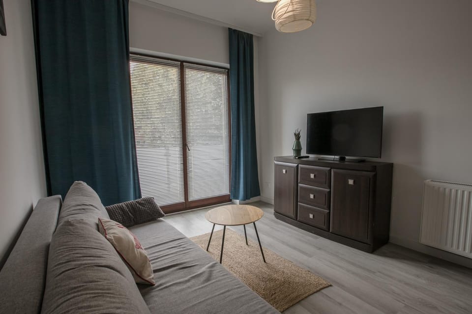 TV and multimedia, Living room, internet