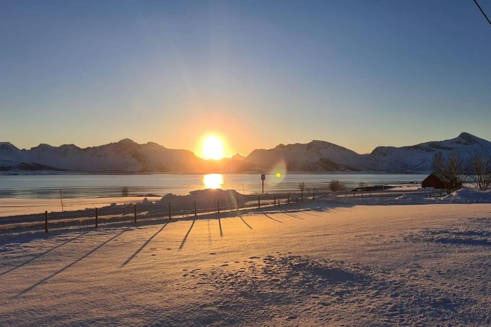 Isabella`s room - Lofoten Apartment in Lofoten