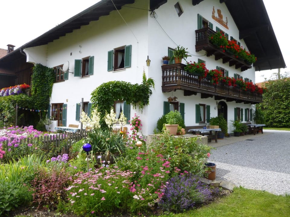 Property building, Garden