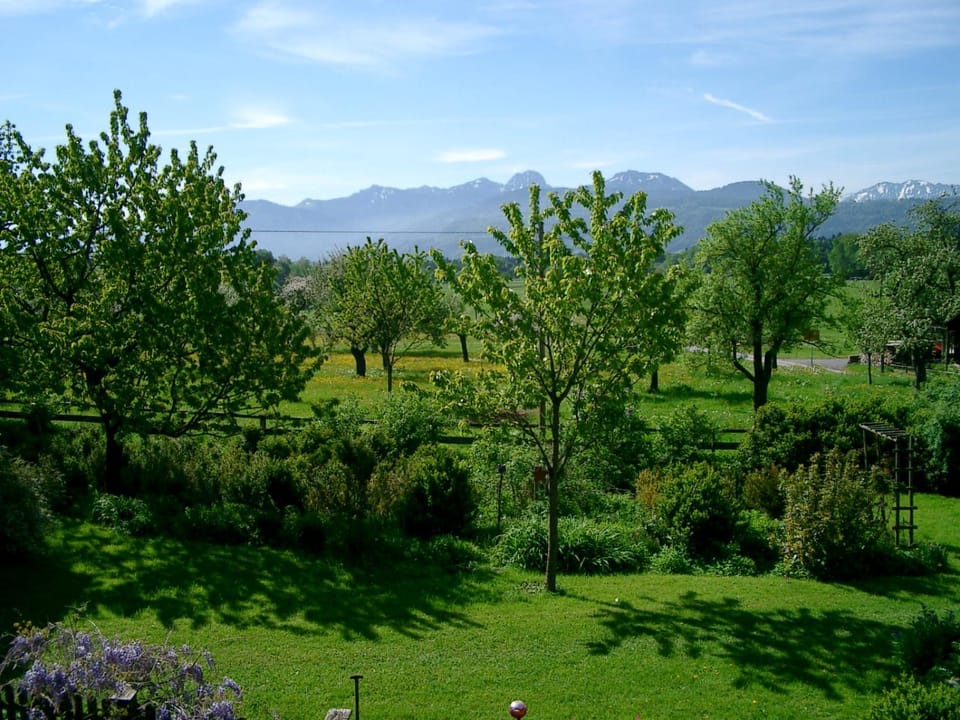 Natural landscape, Garden, Mountain view
