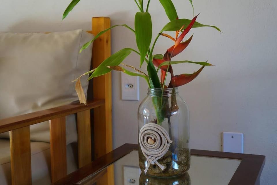 Casa a 4 minutos a pé da praia com 3 quartos climatizados House in State of Bahia