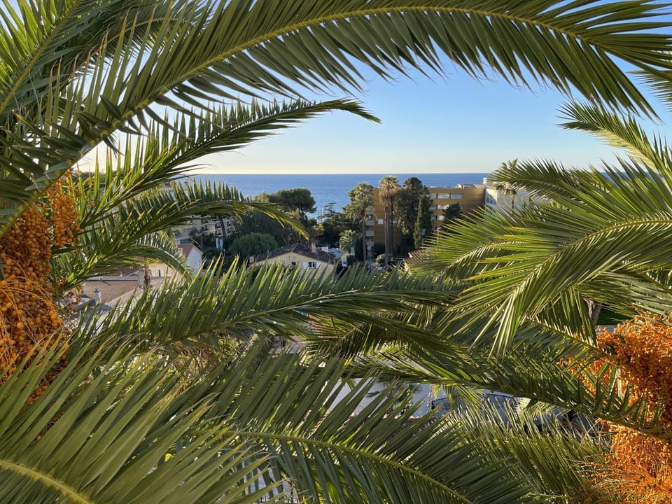 Vaste 4p Bord de mer, terrasse, piscine 263L DILLI Apartment in Cannes