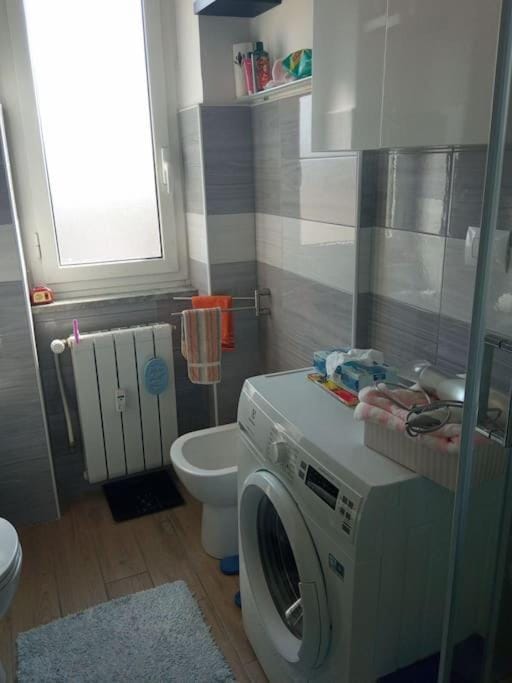 Toilet, Bathroom, washing machine