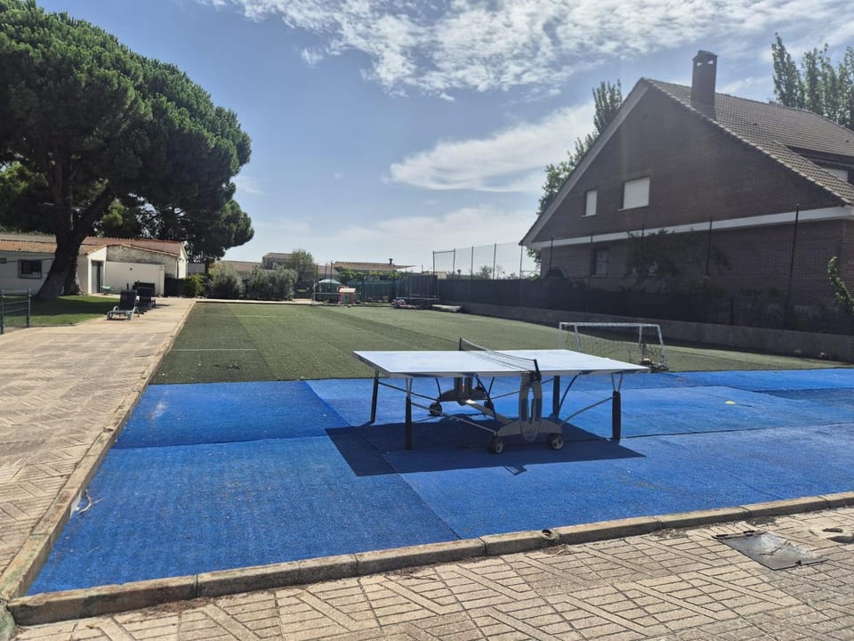 Table tennis, Sports