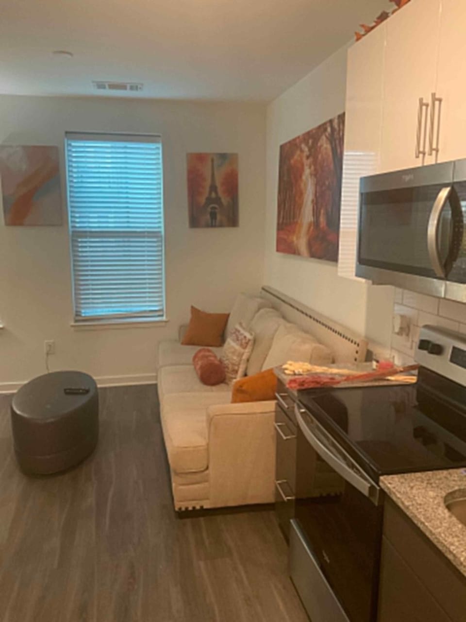 Radiant & Cozy Apartment in Memphis