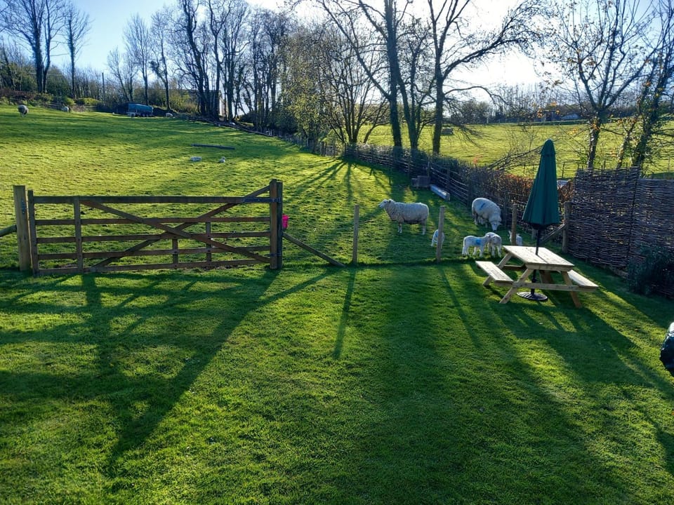 Foxgloves Luxury tent in West Somerset District