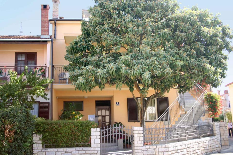 Property building, Summer