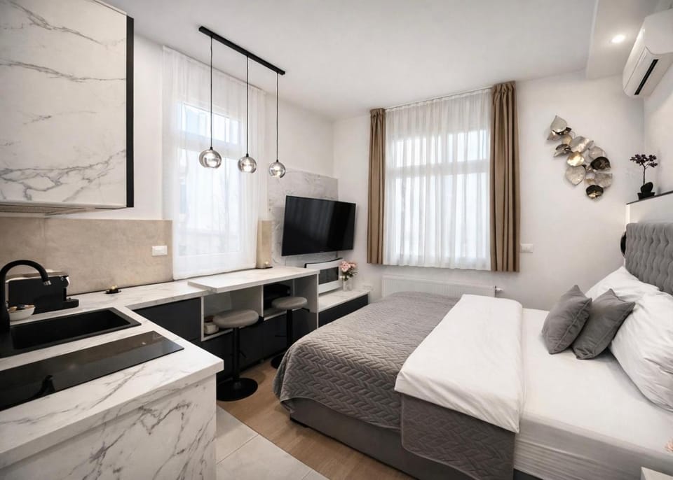 Bed, TV and multimedia, Kitchen or kitchenette, Living room, Seating area, Bedroom