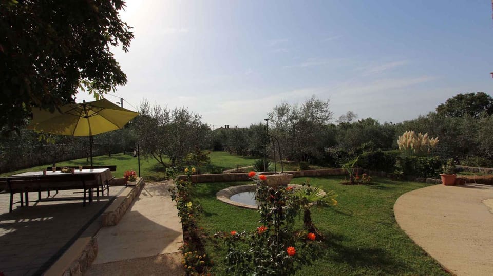 Summer, Garden