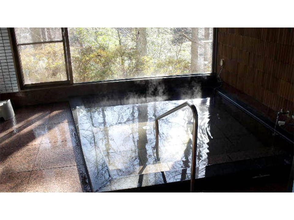 Sasayuri-so - Vacation STAY 16411v Hotel in Aichi Prefecture