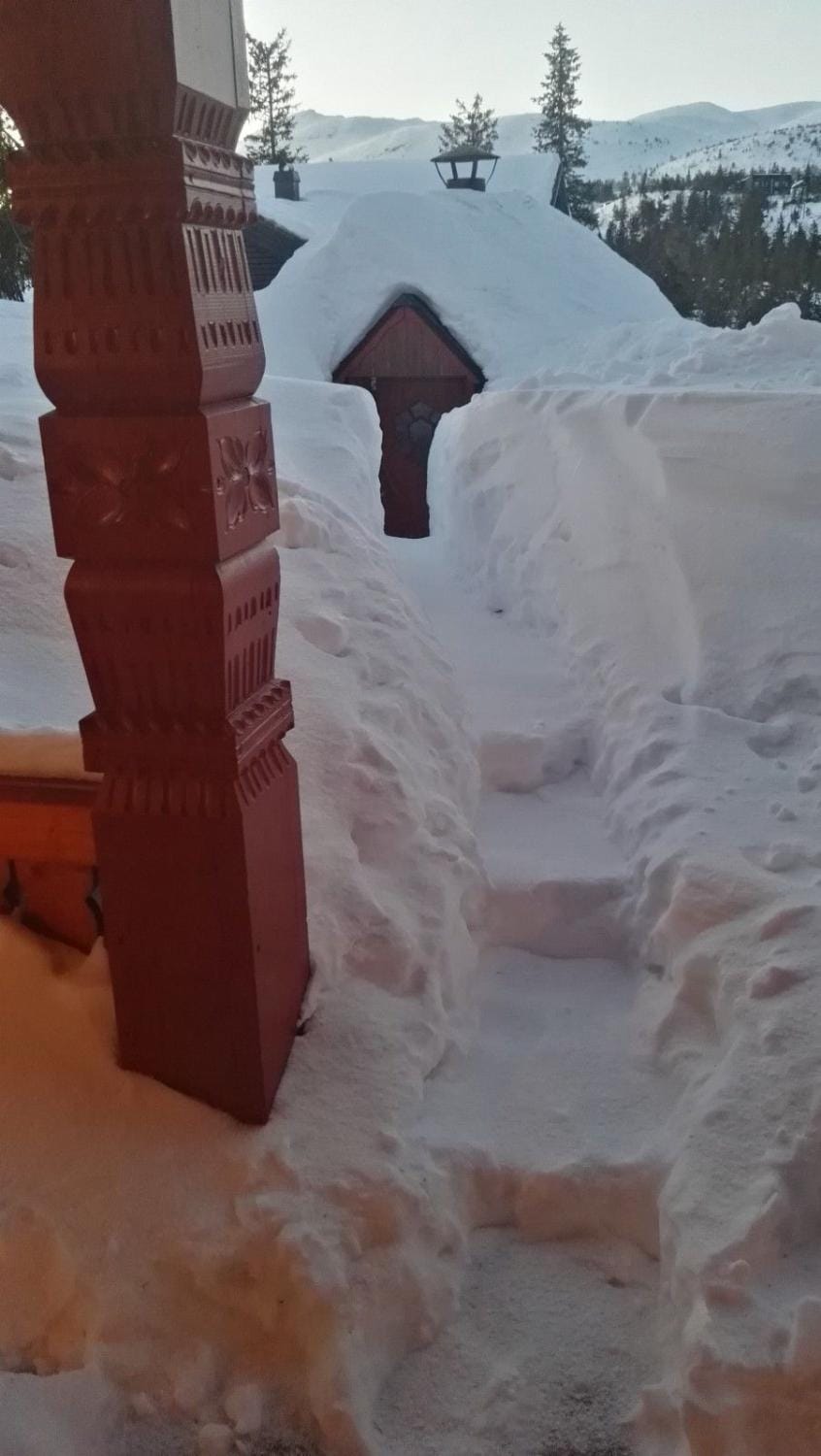 Flott hytte på Lifjell House in Viken, Norway