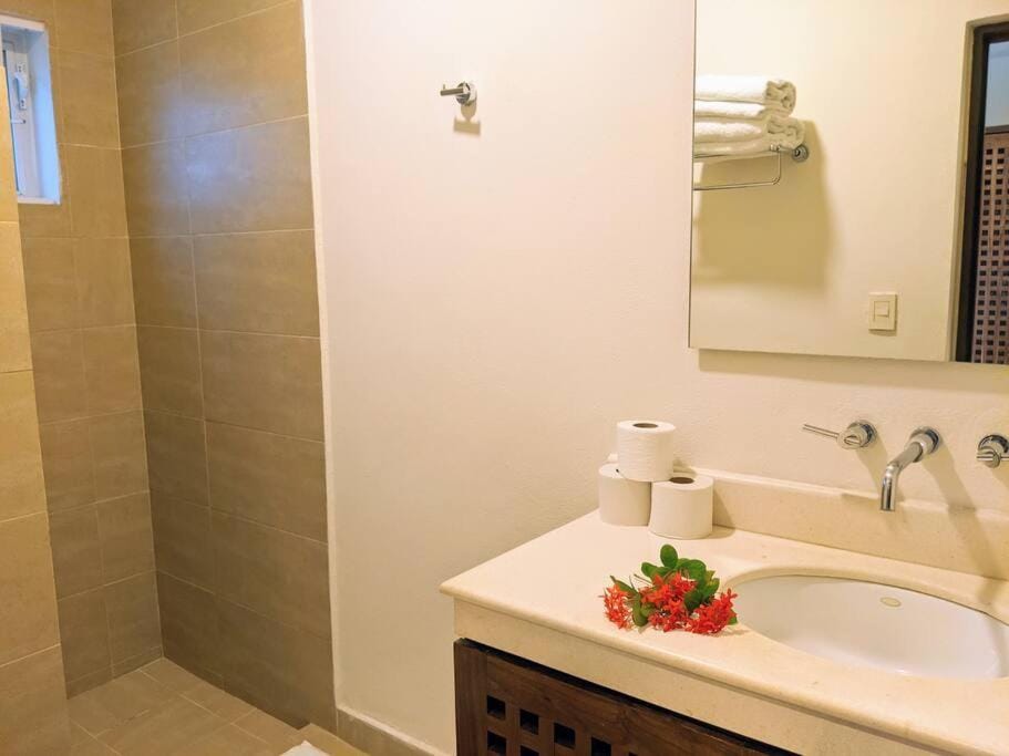Modern Beach Villa Pool Ocean Views Terrace BBQ Villa Vista Real Villa in Playa del Carmen