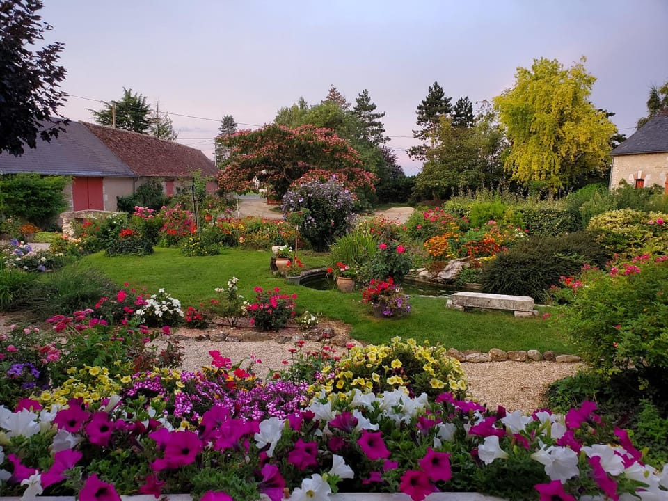 Property building, Garden view