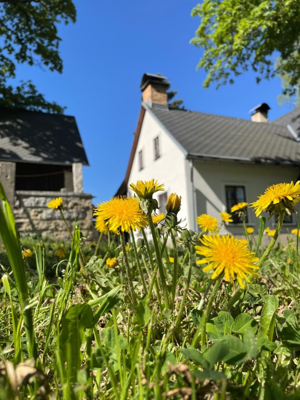 Property building, Spring, Garden, Garden view